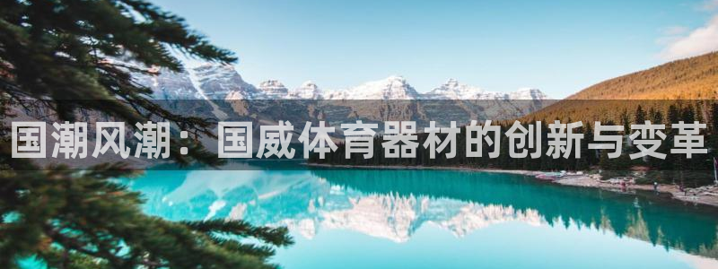 意昂4代理：国潮风潮：国威体育器材的创新与变革