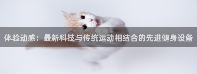 意昂体育4平台是正规平台吗知乎：体验动感：最新科技与