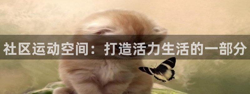 意昂体育4招商：社区运动空间：打造活力生活的一部分