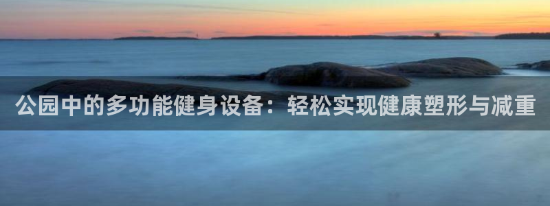 意昂4娱乐首页网站大全：公园中的多功能健身设备：轻松实现健康