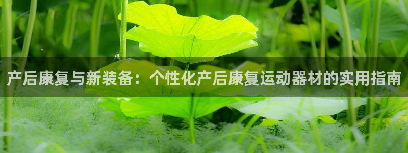 意昂4娱乐网站：产后康复与新装备：个性化产后康复运动