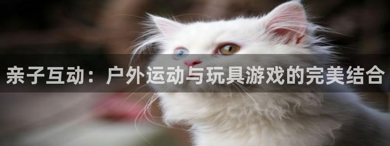 意昂体育4招商电话地址查询
