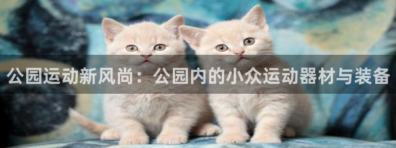 意昂4代理：公园运动新风尚：公园内的小众运动器材与装备