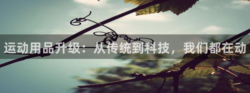 意昂4集团E.ON：运动用品升级：从传统到科技，我们