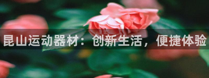 意昂4集团：昆山运动器材：创新生活，便捷体验