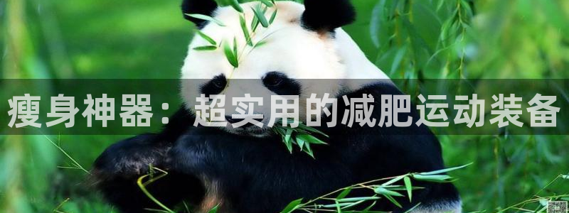 意昂体育4平台注册流程图：瘦身神器：超实用的减肥运动装备