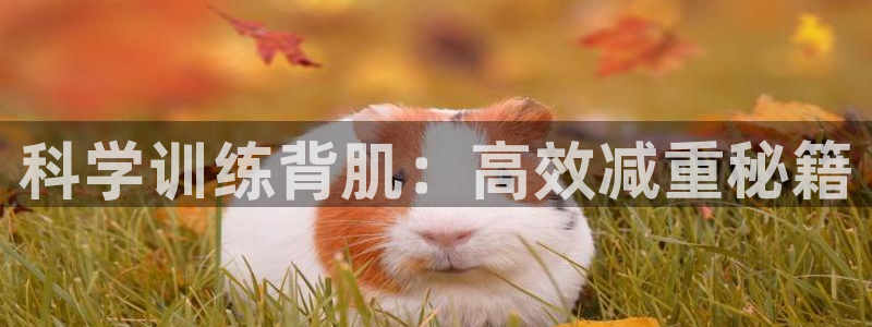 意昂体育4：科学训练背肌：高效减重秘籍