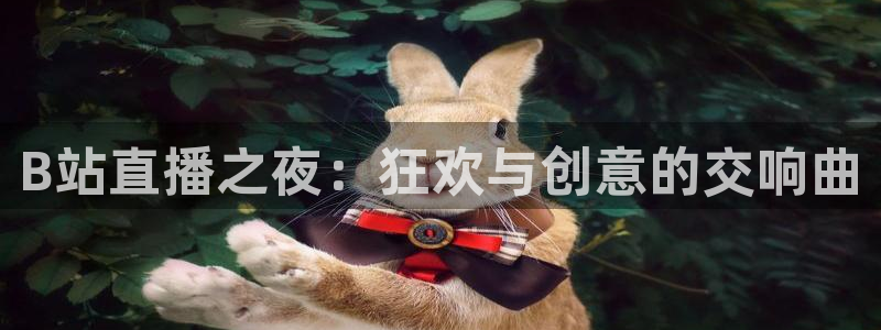 咪咕直播体育在线观看：B站直播之夜：狂欢与创意的交响曲