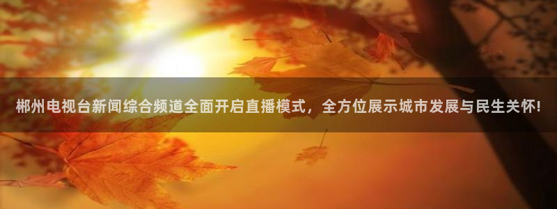 免费看咪咕体育直播：郴州电视台新闻综合频道全面开启直播模式，全方位展示城市发展与民生关怀!