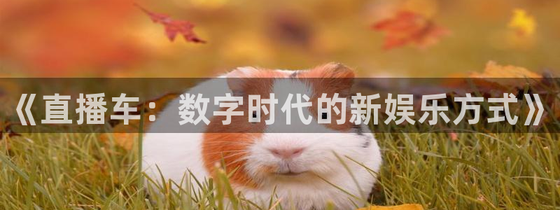 咪咕体育免费高清直播入口：《直播车：数字时代的新娱乐方式》