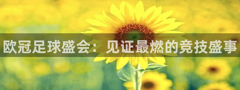 咪咕电视直播：欧冠足球盛会：见证最燃的竞技盛事
