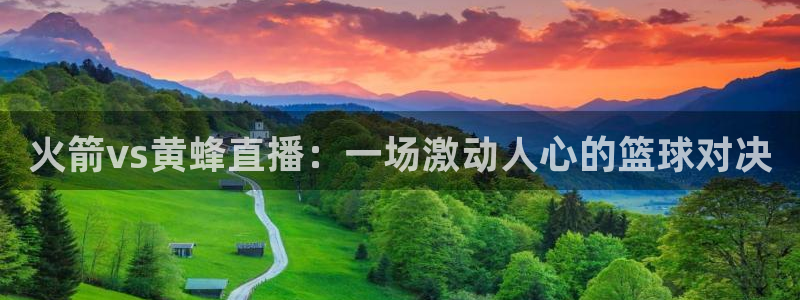 下载咪咕视频体育频道直播：火箭vs黄蜂直播：一场激动人心的篮球对决