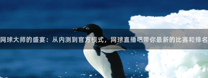 咪咕视频体育直播在线观看：网球大师的盛宴：从内测到官方模式，网球直播吧带你最新的比赛和排名
