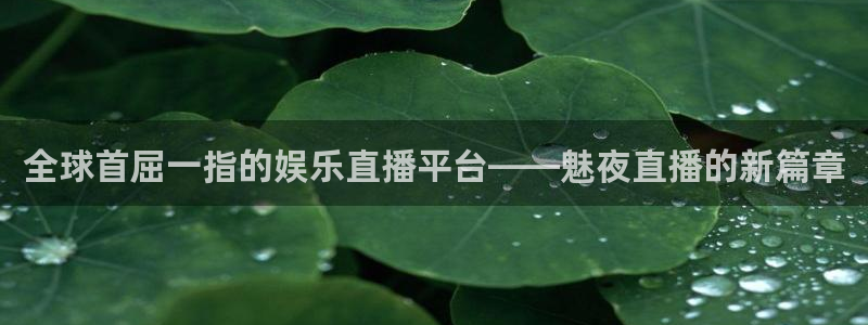 下载咪咕体育直播免费观看：全球首屈一指的娱乐直播平台——魅夜直播的新篇章