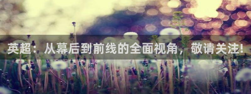 咪咕足球直播免费观看手机版：英超：从幕后到前线的全面视角，敬请关注!